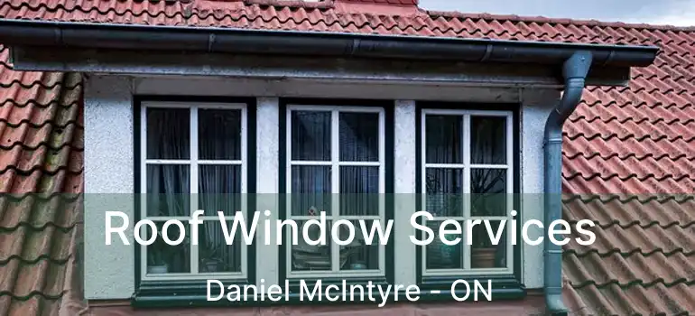  Roof Window Services Daniel McIntyre - ON