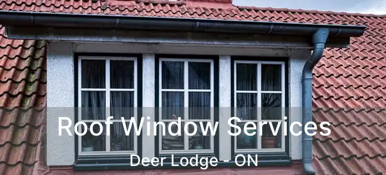  Roof Window Services Deer Lodge - ON