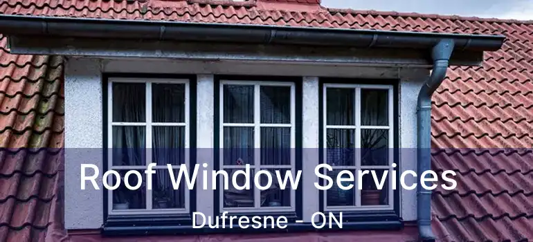  Roof Window Services Dufresne - ON
