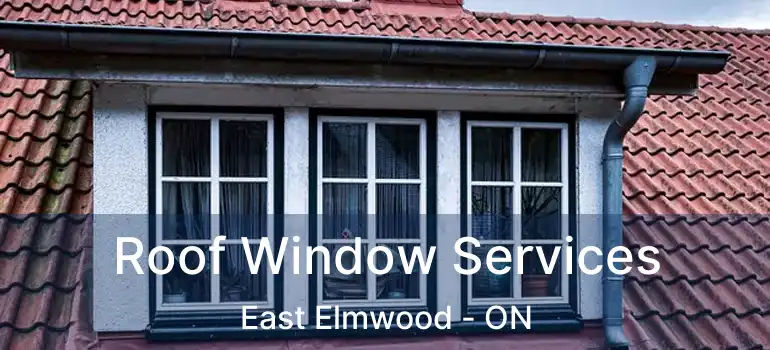  Roof Window Services East Elmwood - ON