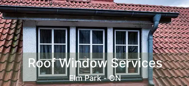  Roof Window Services Elm Park - ON