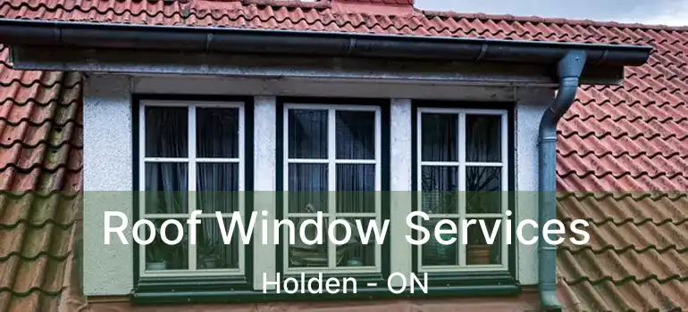  Roof Window Services Holden - ON