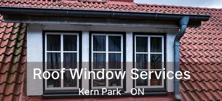  Roof Window Services Kern Park - ON