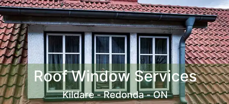  Roof Window Services Kildare - Redonda - ON
