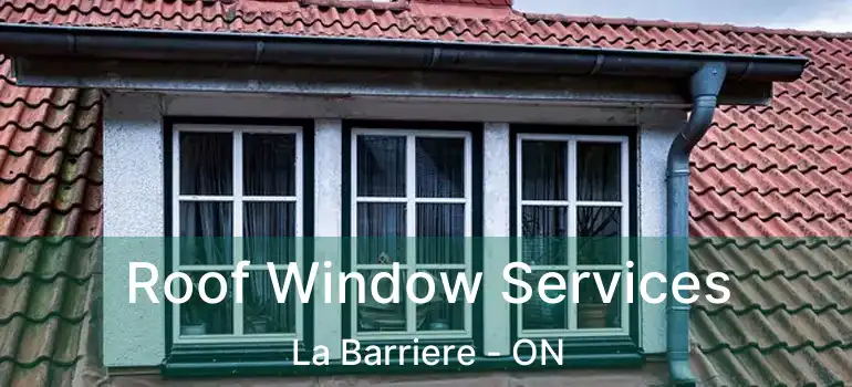  Roof Window Services La Barriere - ON