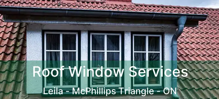  Roof Window Services Leila - McPhillips Triangle - ON