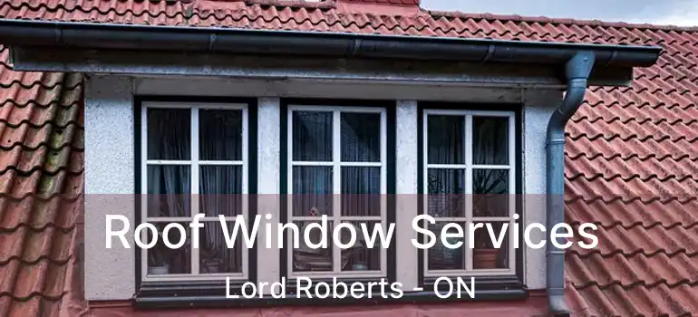  Roof Window Services Lord Roberts - ON