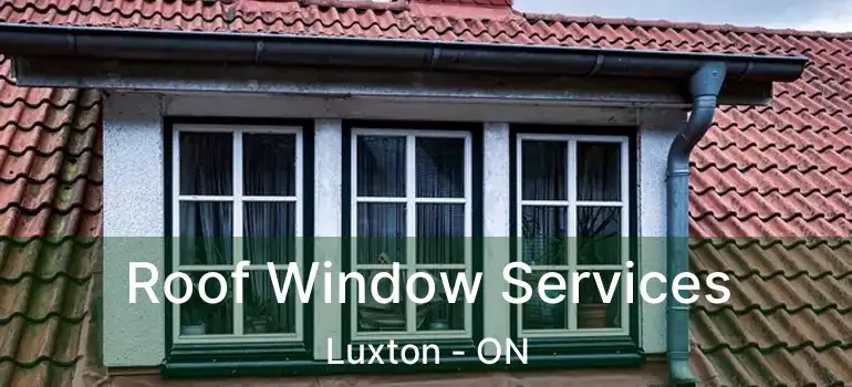 Roof Window Services Luxton - ON