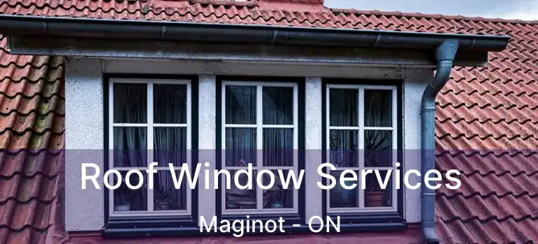  Roof Window Services Maginot - ON