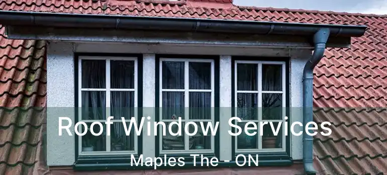  Roof Window Services Maples The - ON