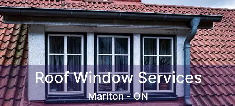  Roof Window Services Marlton - ON