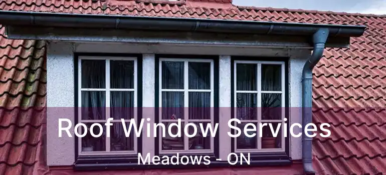  Roof Window Services Meadows - ON