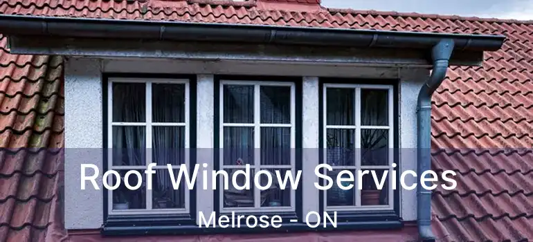  Roof Window Services Melrose - ON