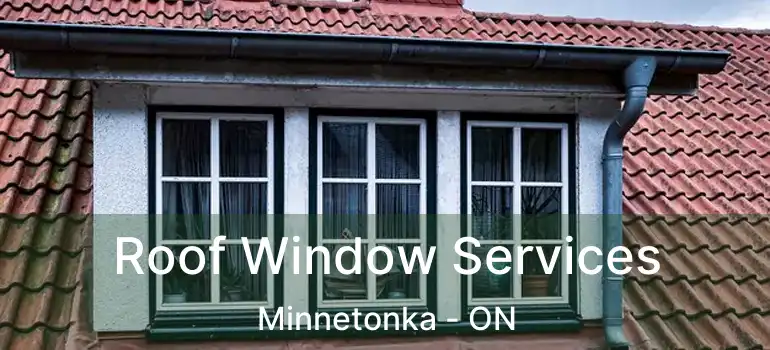  Roof Window Services Minnetonka - ON
