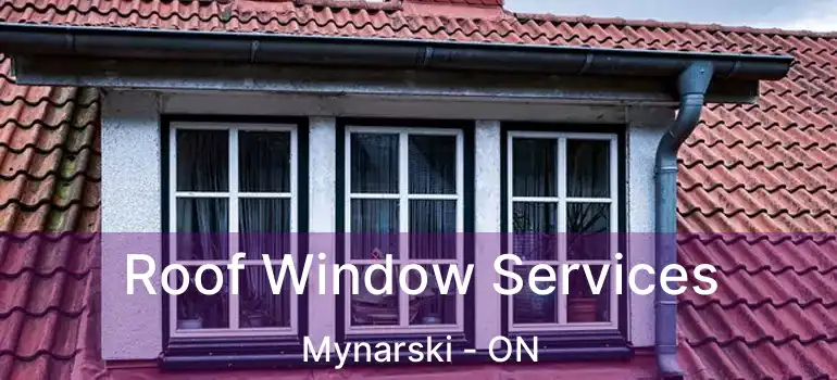  Roof Window Services Mynarski - ON