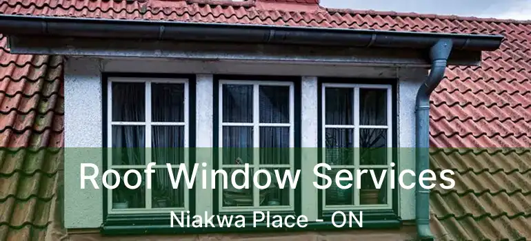 Roof Window Services Niakwa Place - ON