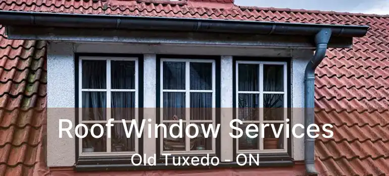 Roof Window Services Old Tuxedo - ON