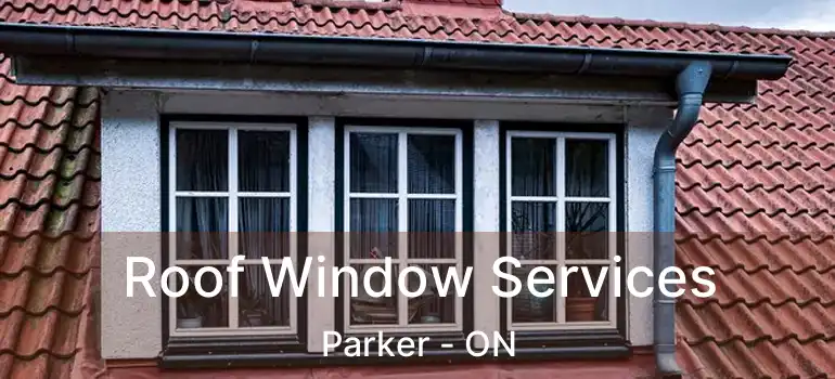  Roof Window Services Parker - ON