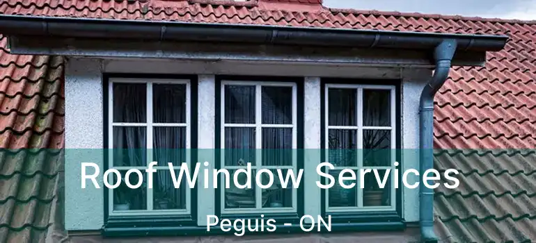  Roof Window Services Peguis - ON