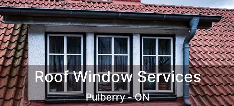  Roof Window Services Pulberry - ON