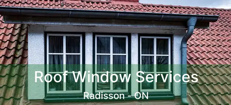  Roof Window Services Radisson - ON