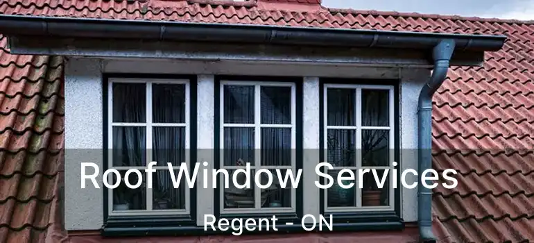  Roof Window Services Regent - ON