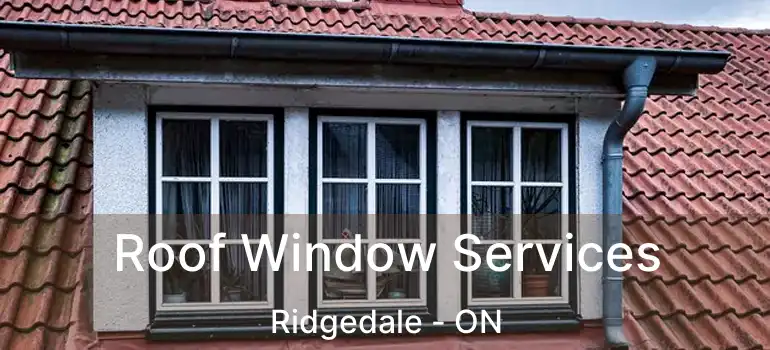  Roof Window Services Ridgedale - ON