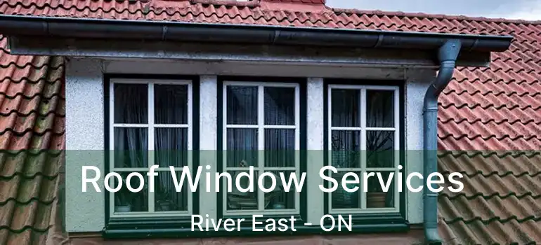  Roof Window Services River East - ON