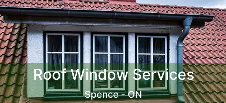  Roof Window Services Spence - ON