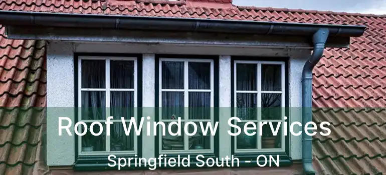  Roof Window Services Springfield South - ON