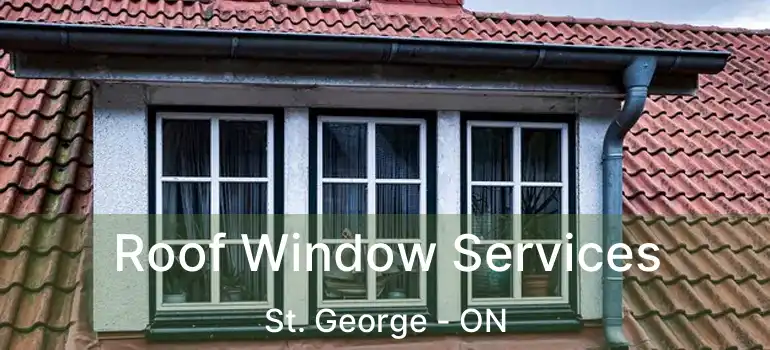  Roof Window Services St. George - ON