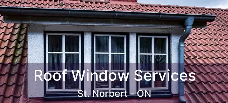  Roof Window Services St. Norbert - ON