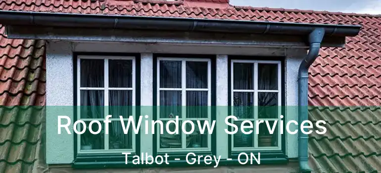  Roof Window Services Talbot - Grey - ON