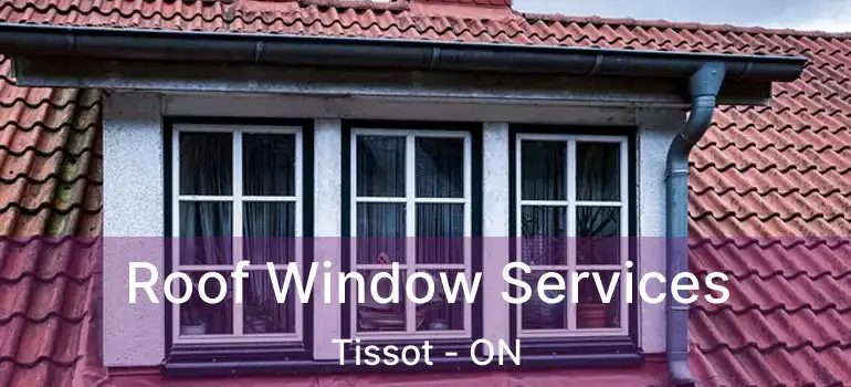  Roof Window Services Tissot - ON