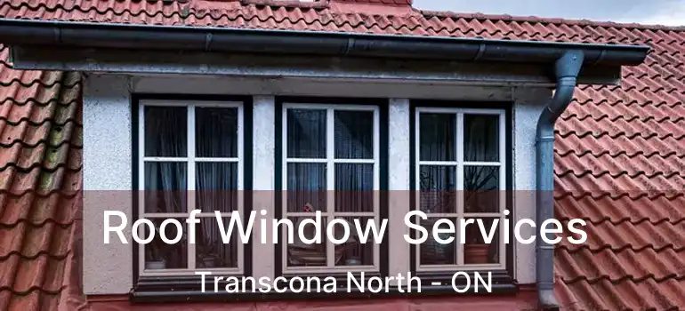  Roof Window Services Transcona North - ON