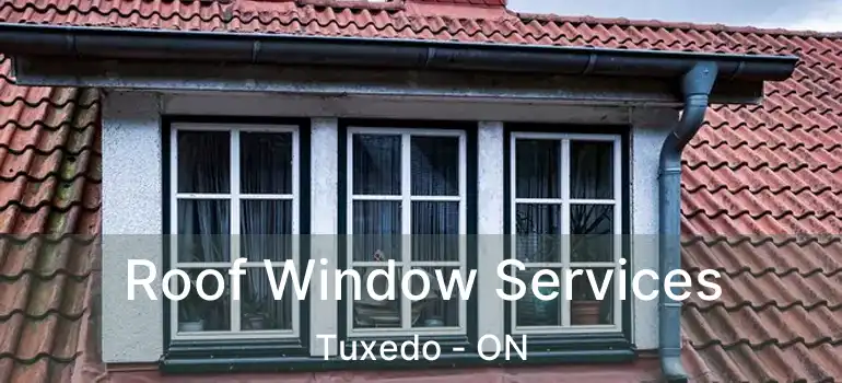  Roof Window Services Tuxedo - ON