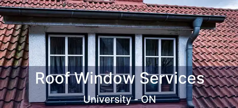  Roof Window Services University - ON