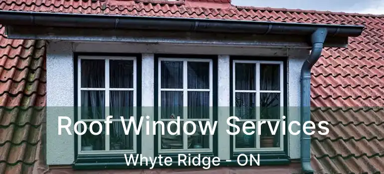  Roof Window Services Whyte Ridge - ON