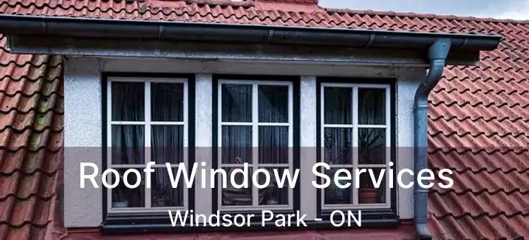  Roof Window Services Windsor Park - ON