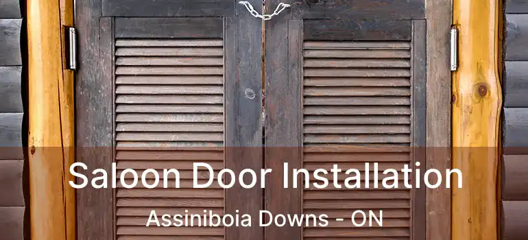  Saloon Door Installation Assiniboia Downs - ON