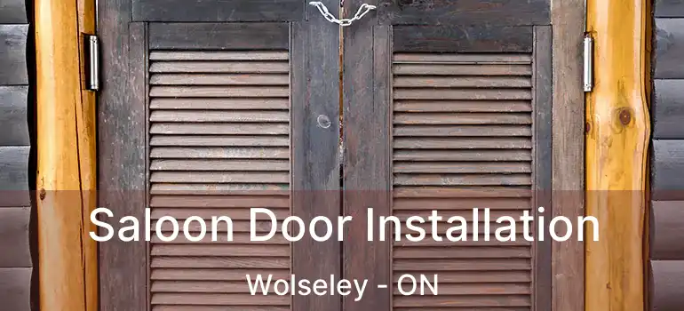  Saloon Door Installation Wolseley - ON