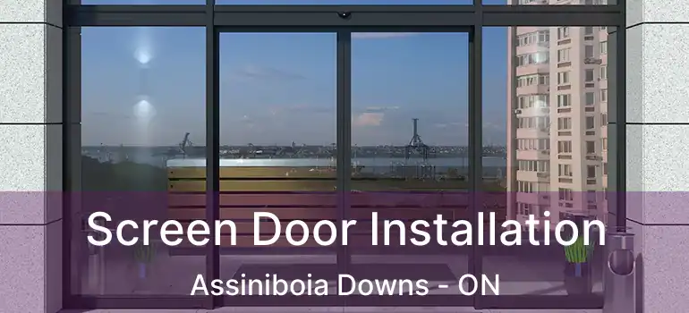  Screen Door Installation Assiniboia Downs - ON