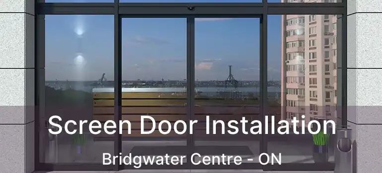  Screen Door Installation Bridgwater Centre - ON