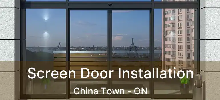  Screen Door Installation China Town - ON