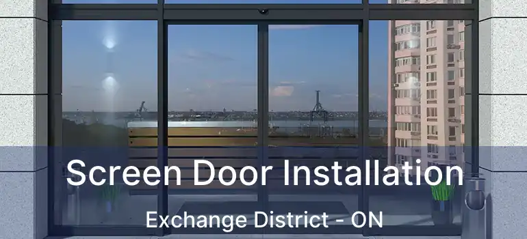  Screen Door Installation Exchange District - ON