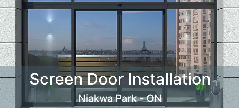  Screen Door Installation Niakwa Park - ON