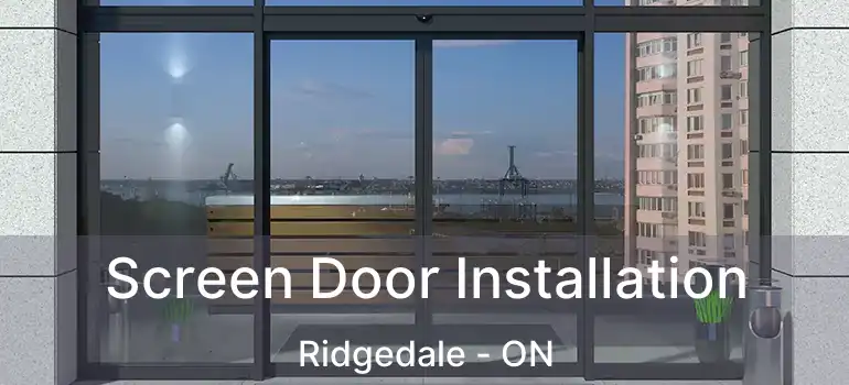 Screen Door Installation Ridgedale - ON