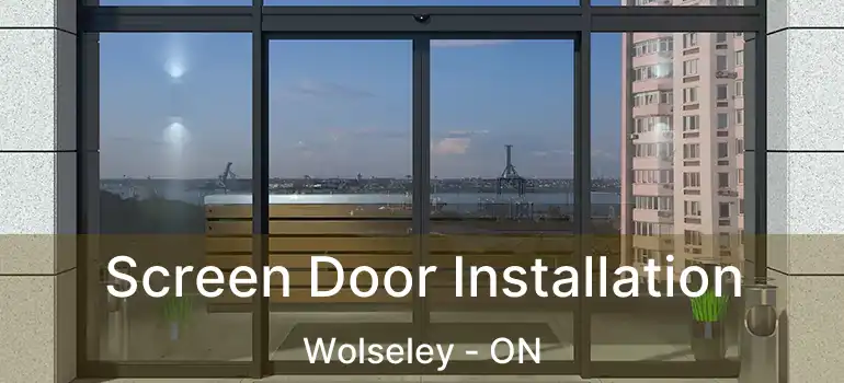  Screen Door Installation Wolseley - ON