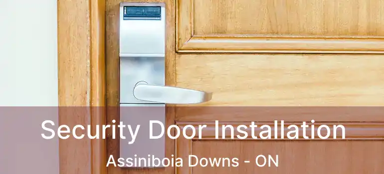  Security Door Installation Assiniboia Downs - ON