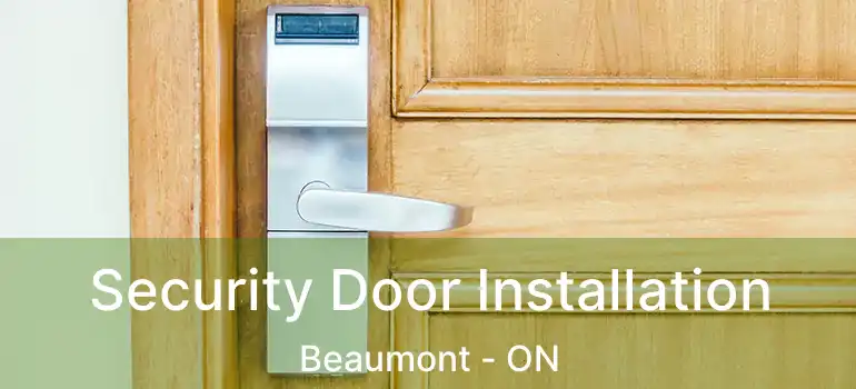  Security Door Installation Beaumont - ON